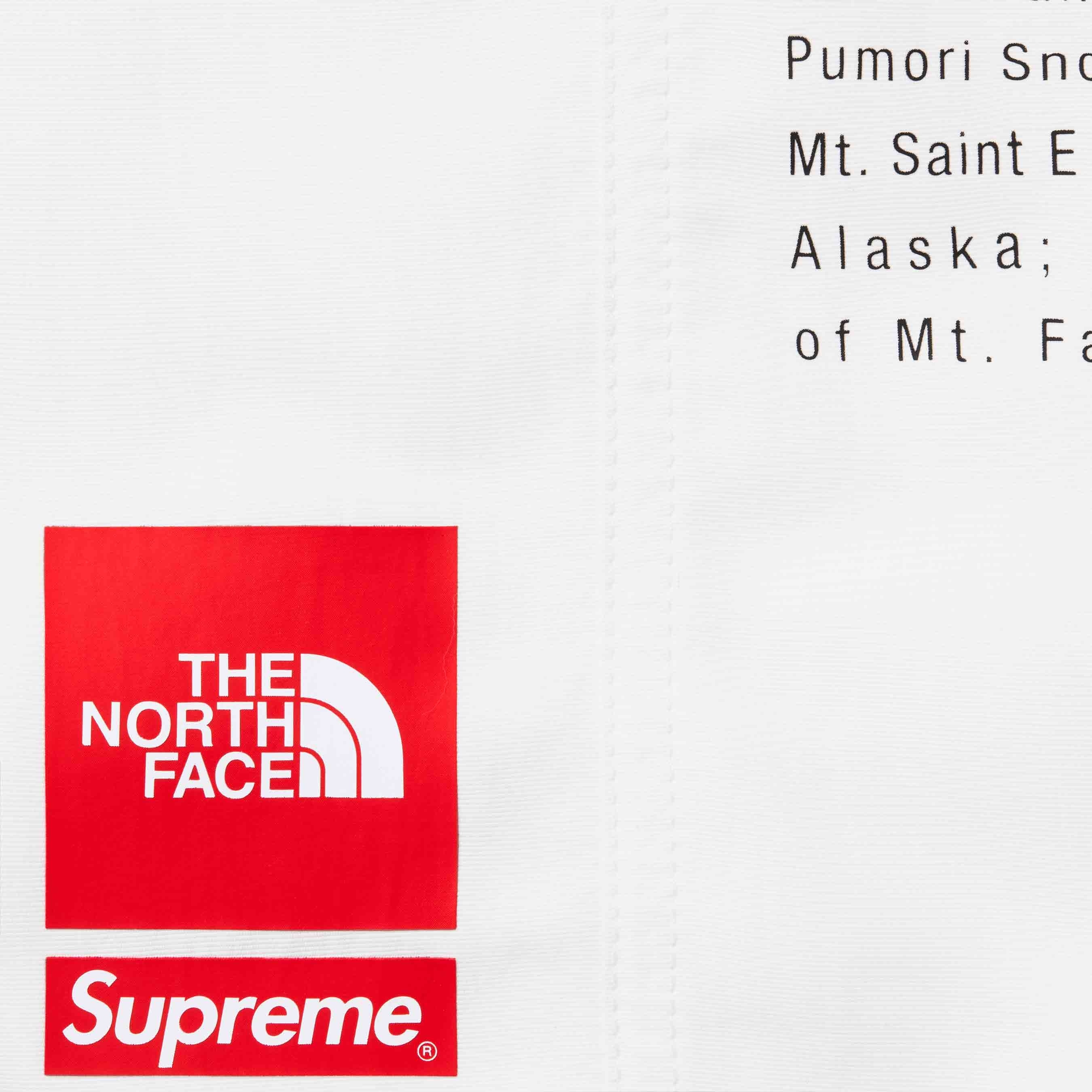 Supreme®/The North Face® Nylon Short view 11